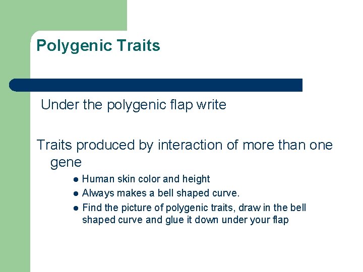 Polygenic Traits Under the polygenic flap write Traits produced by interaction of more than