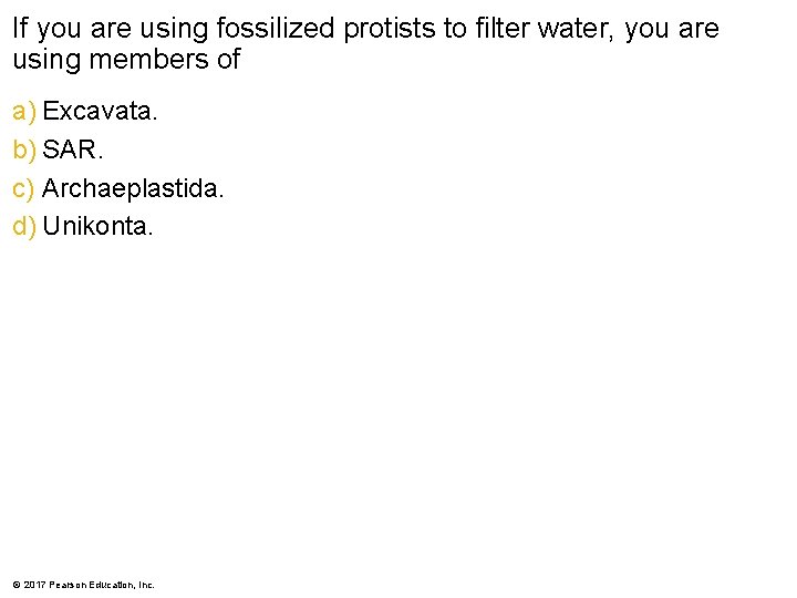 If you are using fossilized protists to filter water, you are using members of