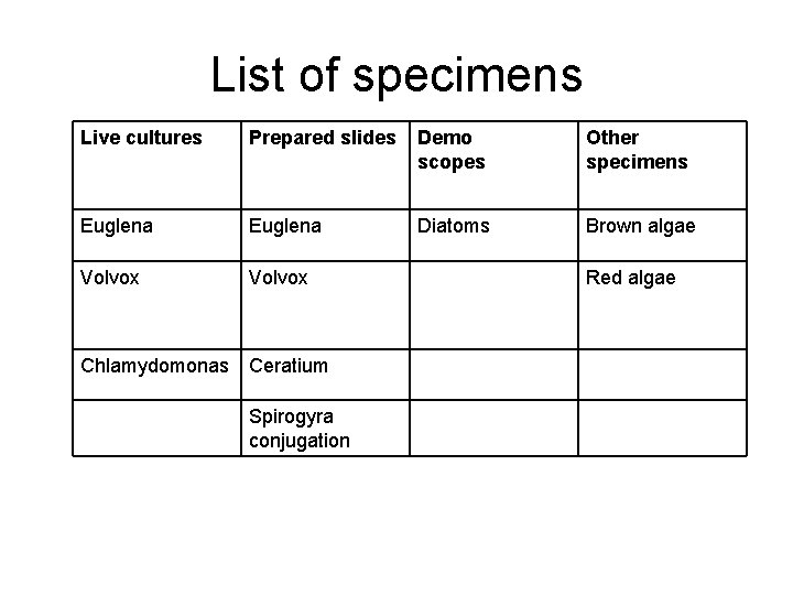 List of specimens Live cultures Prepared slides Demo scopes Other specimens Euglena Diatoms Brown