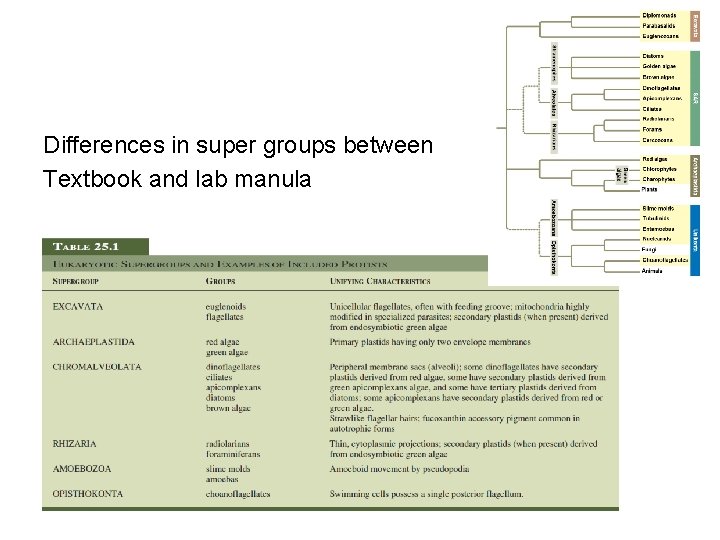 Differences in super groups between Textbook and lab manula 