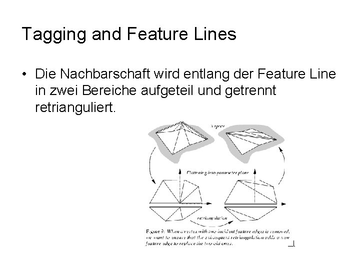 Tagging and Feature Lines • Die Nachbarschaft wird entlang der Feature Line in zwei