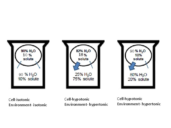 10 18 90 90 Cell-isotonic Environment- isotonic Cell-hypotonic Environment- hypertonic 