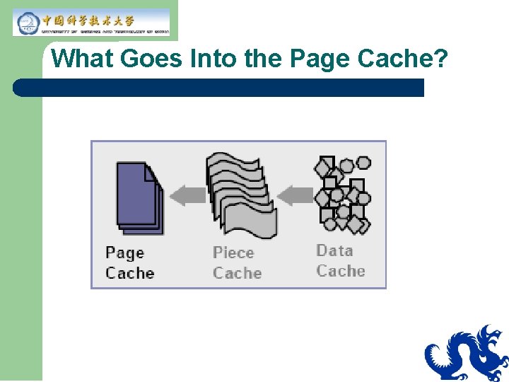 What Goes Into the Page Cache? What Goes Into the Page Cache?