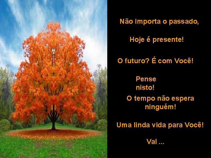 Não importa o passado, Hoje é presente! O futuro? É com Você! Pense nisto!