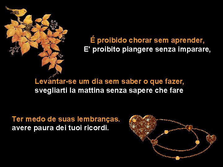 É proibido chorar sem aprender, E' proibito piangere senza imparare, Levantar-se um dia sem