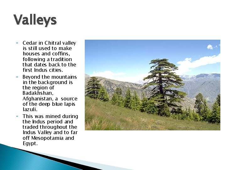 Valleys Cedar in Chitral valley is still used to make houses and coffins, following
