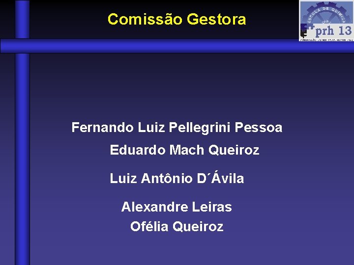 Comissão Gestora Fernando Luiz Pellegrini Pessoa Eduardo Mach Queiroz Luiz Antônio D´Ávila Alexandre Leiras