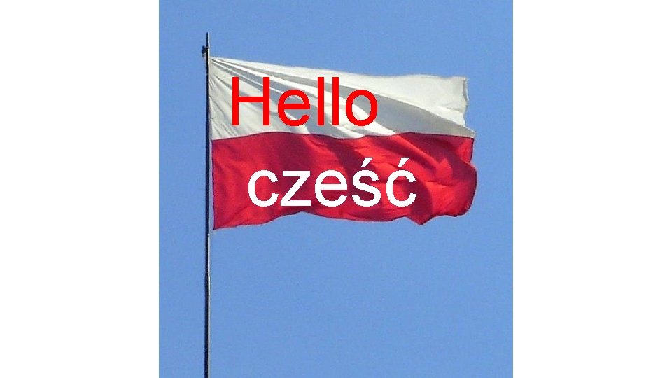 Hello cześć 