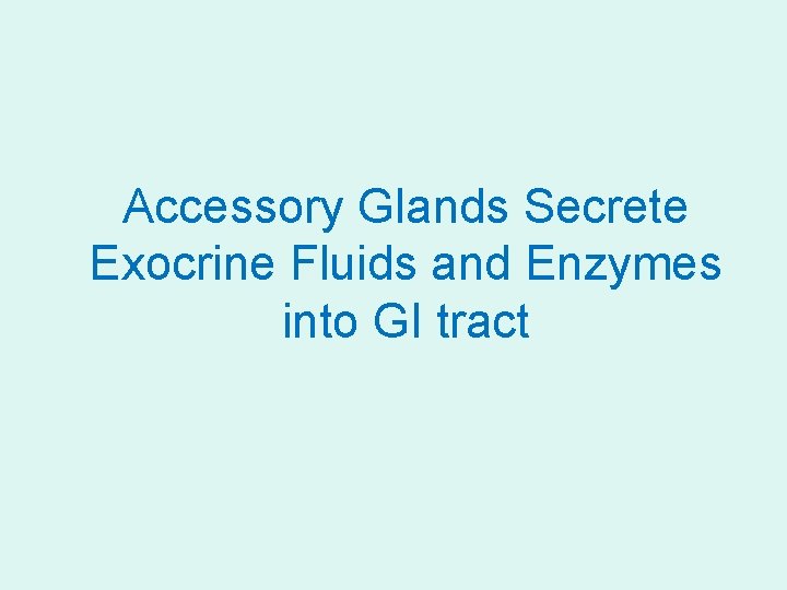 Accessory Glands Secrete Exocrine Fluids and Enzymes into GI tract 