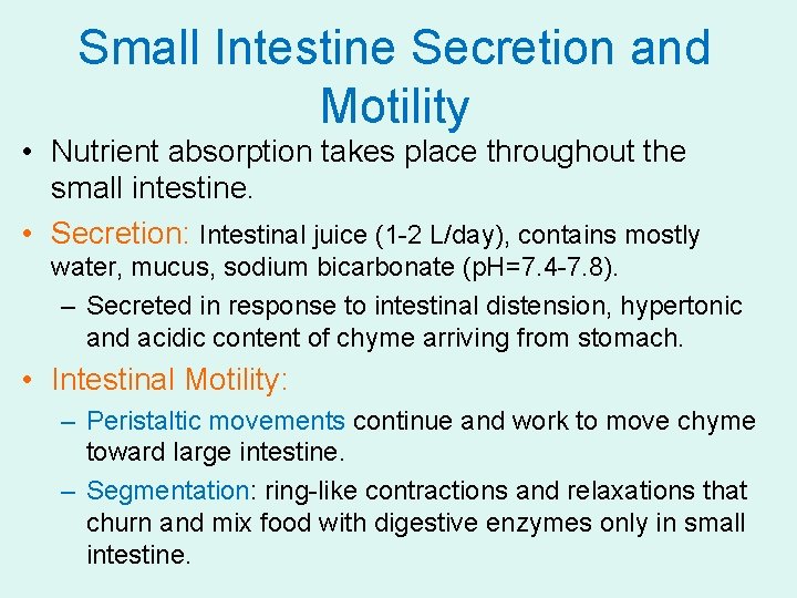 Small Intestine Secretion and Motility • Nutrient absorption takes place throughout the small intestine.