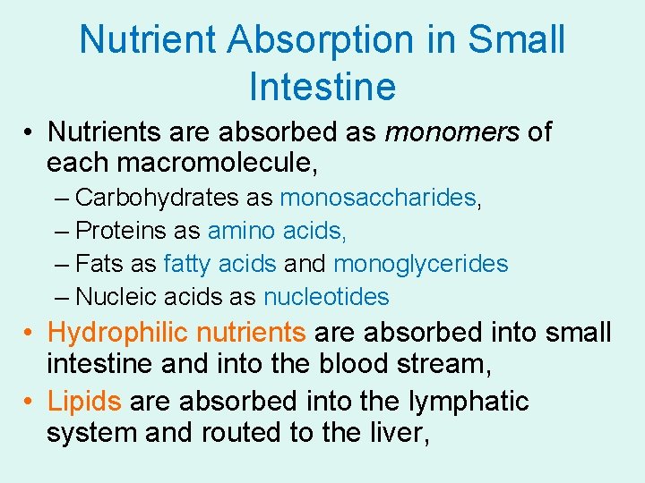 Nutrient Absorption in Small Intestine • Nutrients are absorbed as monomers of each macromolecule,