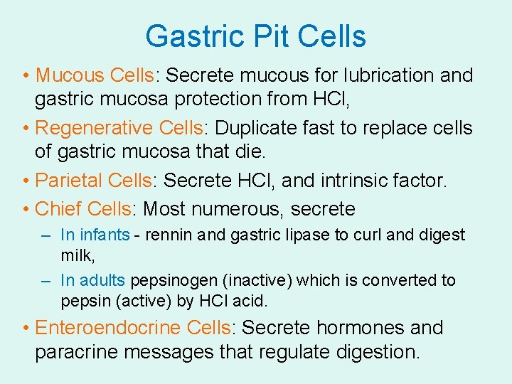 Gastric Pit Cells • Mucous Cells: Secrete mucous for lubrication and gastric mucosa protection