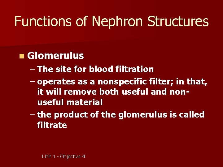 Functions of Nephron Structures n Glomerulus – The site for blood filtration – operates