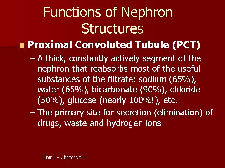 Functions of Nephron Structures n Proximal Convoluted Tubule (PCT) – A thick, constantly actively