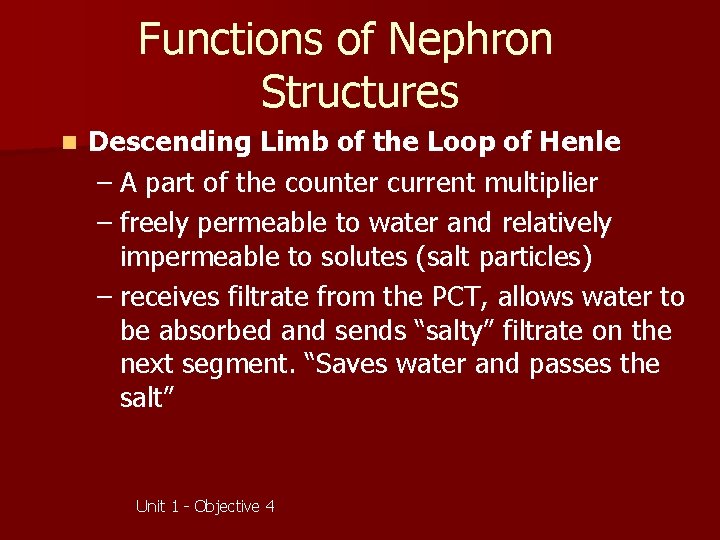 Functions of Nephron Structures n Descending Limb of the Loop of Henle – A