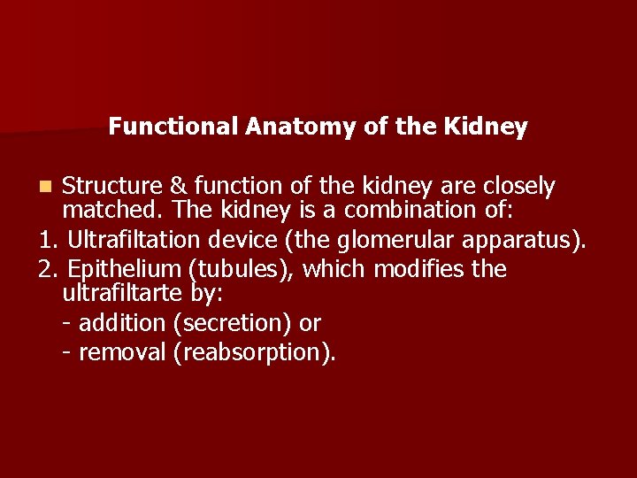 Functional Anatomy of the Kidney Structure & function of the kidney are closely matched.