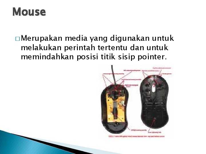Mouse � Merupakan media yang digunakan untuk melakukan perintah tertentu dan untuk memindahkan posisi