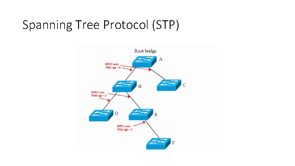 Spanning Tree Protocol (STP) 