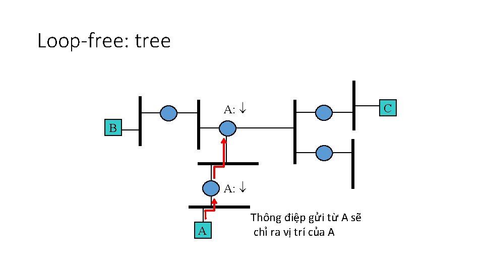 Loop-free: tree A: C B A: A Thông điệp gửi từ A sẽ chỉ