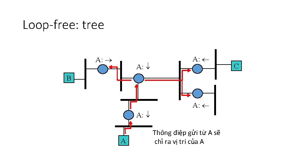 Loop-free: tree A: A: A: B A: A Thông điệp gửi từ A sẽ