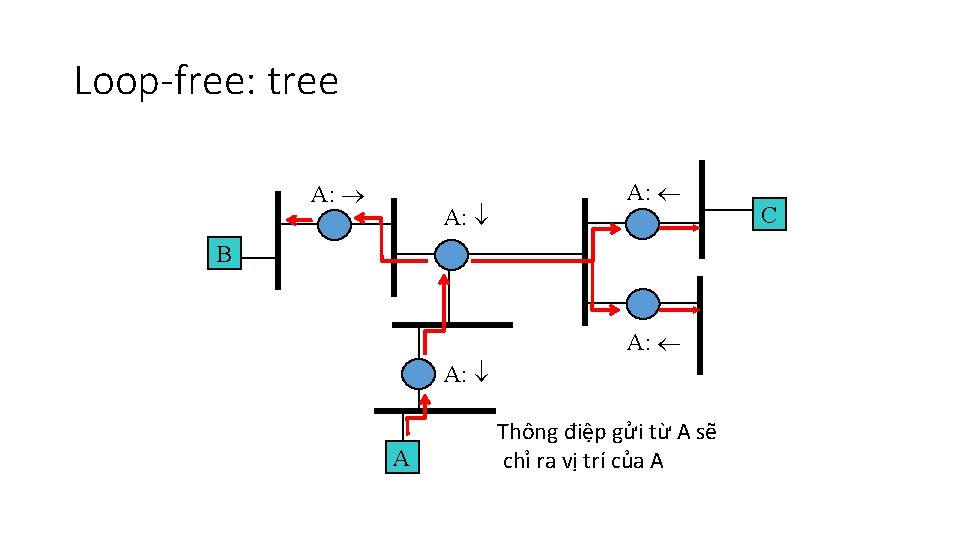 Loop-free: tree A: A: A: B A: A Thông điệp gửi từ A sẽ