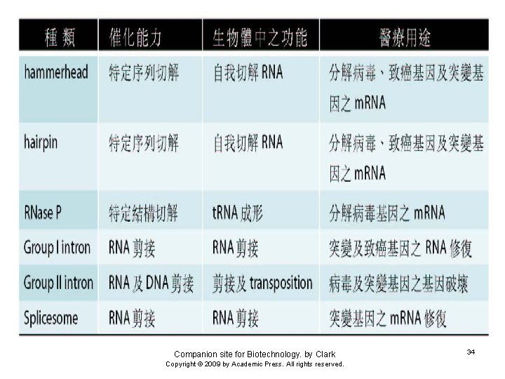 Companion site for Biotechnology. by Clark Copyright © 2009 by Academic Press. All rights