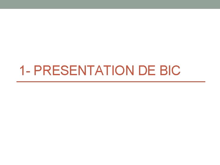 1 - PRESENTATION DE BIC 