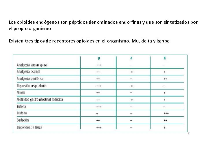 Los opioides endógenos son péptidos denominados endorfinas y que son sintetizados por el propio