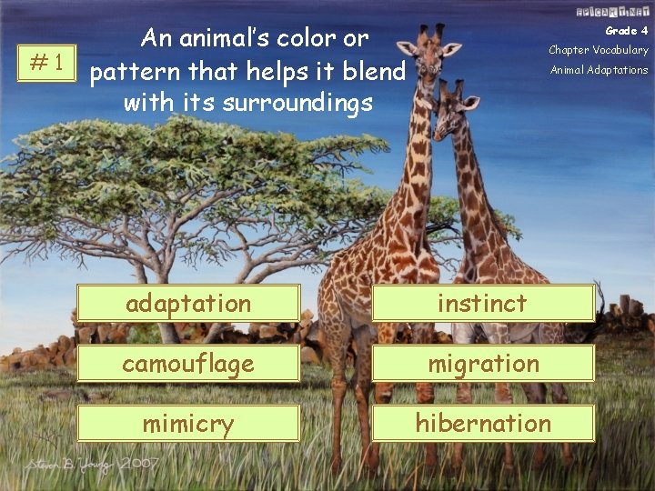 #1 An animal’s color or pattern that helps it blend with its surroundings Grade