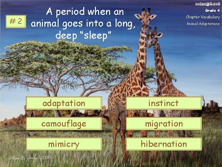 #2 A period when an animal goes into a long, deep “sleep” Grade 4