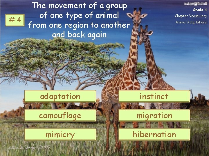 The movement of a group of one type of animal #4 from one region