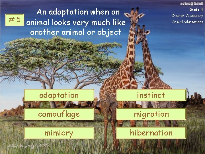 An adaptation when an # 5 animal looks very much like another animal or