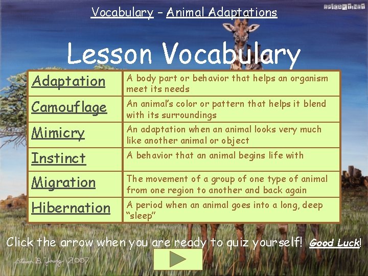 Vocabulary – Animal Adaptations Lesson Vocabulary Adaptation A body part or behavior that helps
