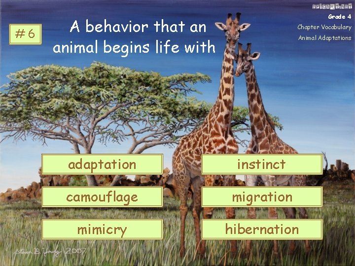 #6 Grade 4 A behavior that an animal begins life with Chapter Vocabulary Animal