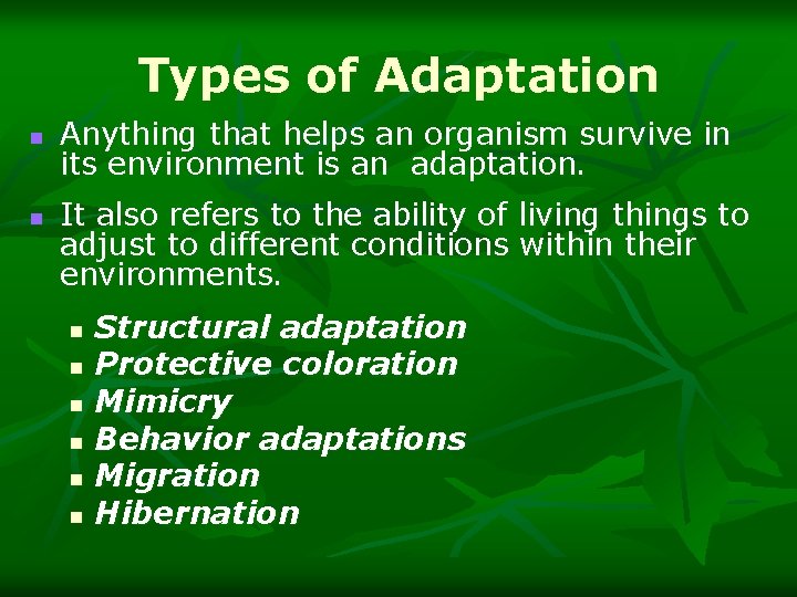 Types of Adaptation n n Anything that helps an organism survive in its environment