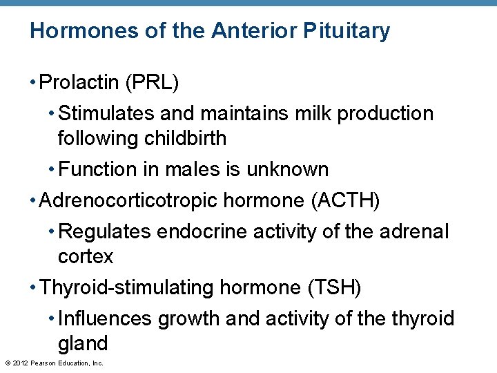 Hormones of the Anterior Pituitary • Prolactin (PRL) • Stimulates and maintains milk production