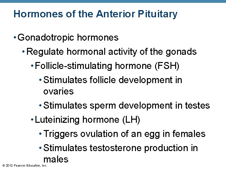 Hormones of the Anterior Pituitary • Gonadotropic hormones • Regulate hormonal activity of the