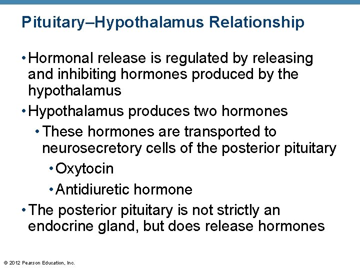 Pituitary–Hypothalamus Relationship • Hormonal release is regulated by releasing and inhibiting hormones produced by