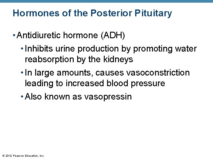 Hormones of the Posterior Pituitary • Antidiuretic hormone (ADH) • Inhibits urine production by