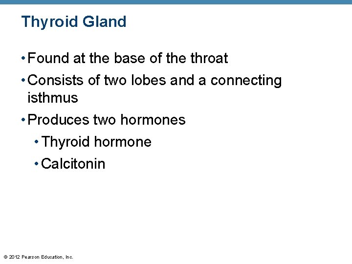 Thyroid Gland • Found at the base of the throat • Consists of two