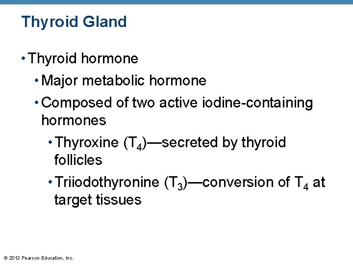 Thyroid Gland • Thyroid hormone • Major metabolic hormone • Composed of two active