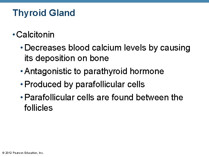 Thyroid Gland • Calcitonin • Decreases blood calcium levels by causing its deposition on