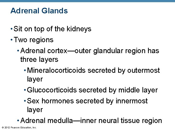 Adrenal Glands • Sit on top of the kidneys • Two regions • Adrenal