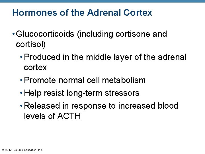Hormones of the Adrenal Cortex • Glucocorticoids (including cortisone and cortisol) • Produced in
