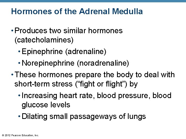 Hormones of the Adrenal Medulla • Produces two similar hormones (catecholamines) • Epinephrine (adrenaline)