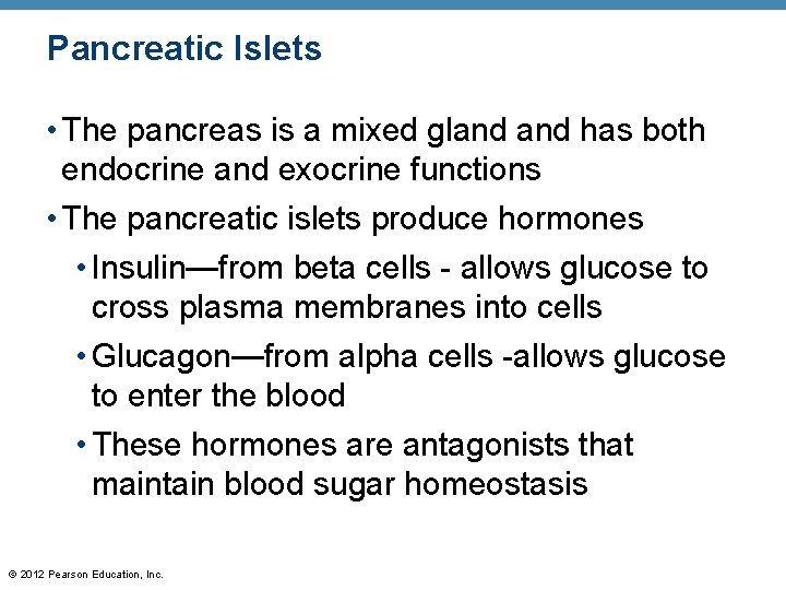 Pancreatic Islets • The pancreas is a mixed gland has both endocrine and exocrine