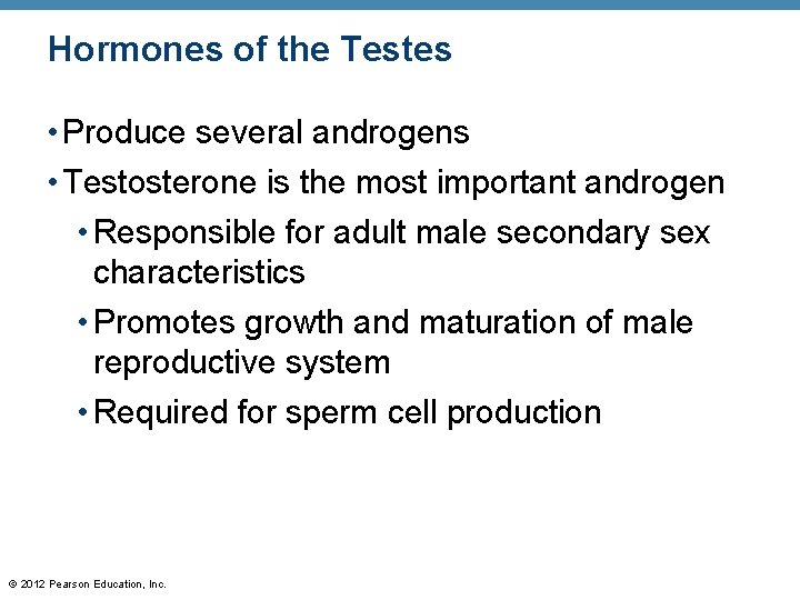 Hormones of the Testes • Produce several androgens • Testosterone is the most important