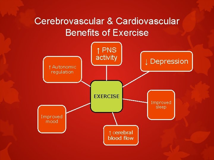 Cerebrovascular & Cardiovascular Benefits of Exercise ↑ PNS activity ↑ Autonomic regulation ↓ Depression