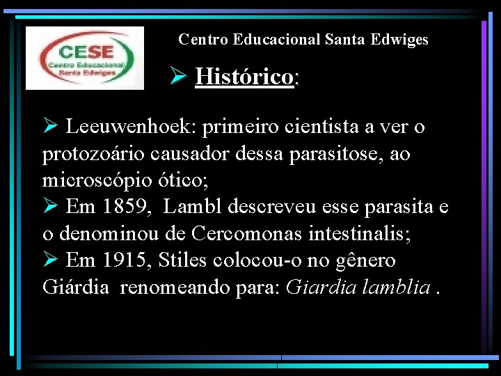 Centro Educacional Santa Edwiges Ø Histórico: Ø Leeuwenhoek: primeiro cientista a ver o protozoário