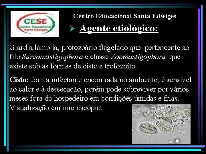 Centro Educacional Santa Edwiges Ø Agente etiológico: Giardia lamblia, protozoário flagelado que pertencente ao